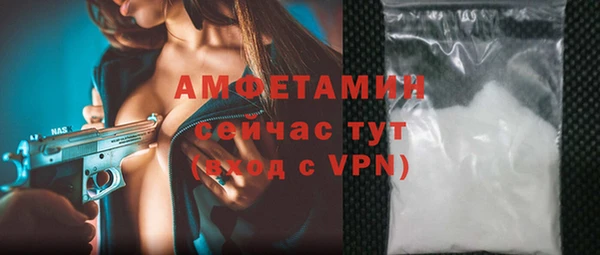 крисы Ельня