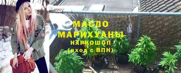 крисы Ельня
