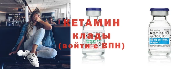 крисы Ельня