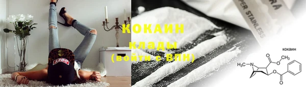 крисы Ельня