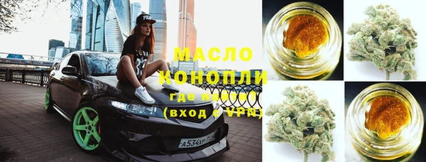 крисы Ельня