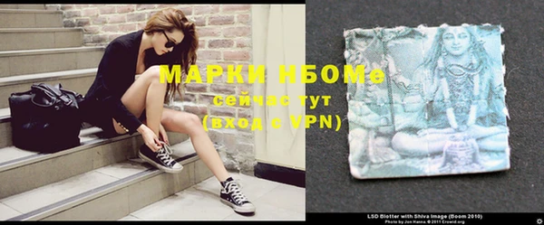 крисы Ельня