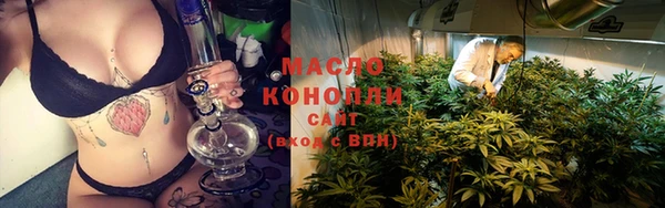 крисы Ельня